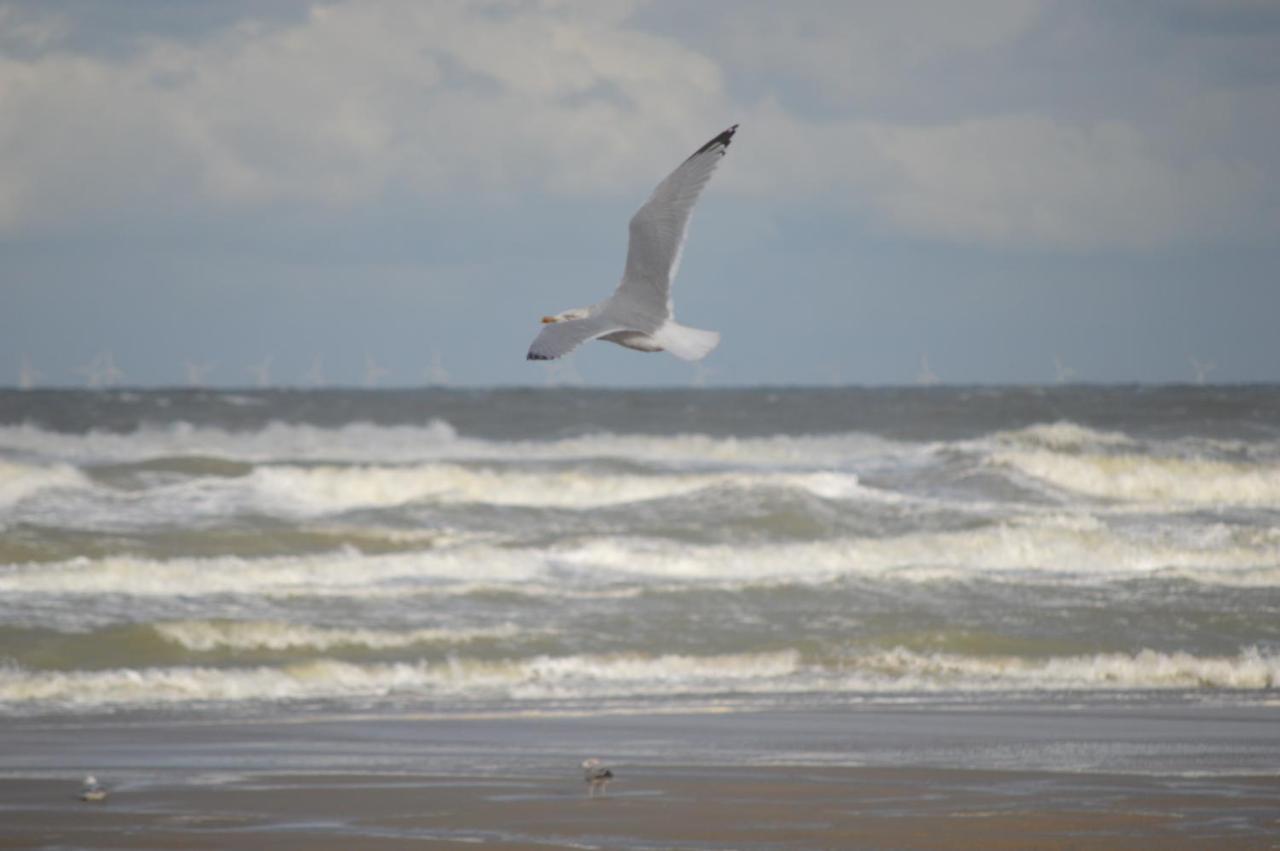 Huisjes Aan Zee เดอฮาน ภายนอก รูปภาพ